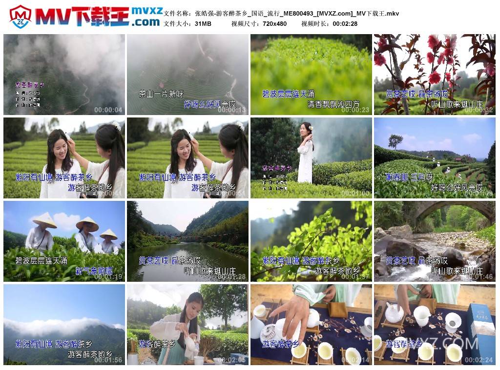 张皓强-游客醉茶乡_国语_流行_ME800493